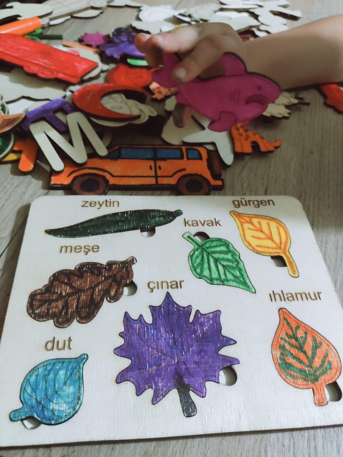 montessori eğitici boyanabilir ahşap tak cıkar puzzle oyuncak 3 lü set,hayvanlar,yapraklar,meyveler