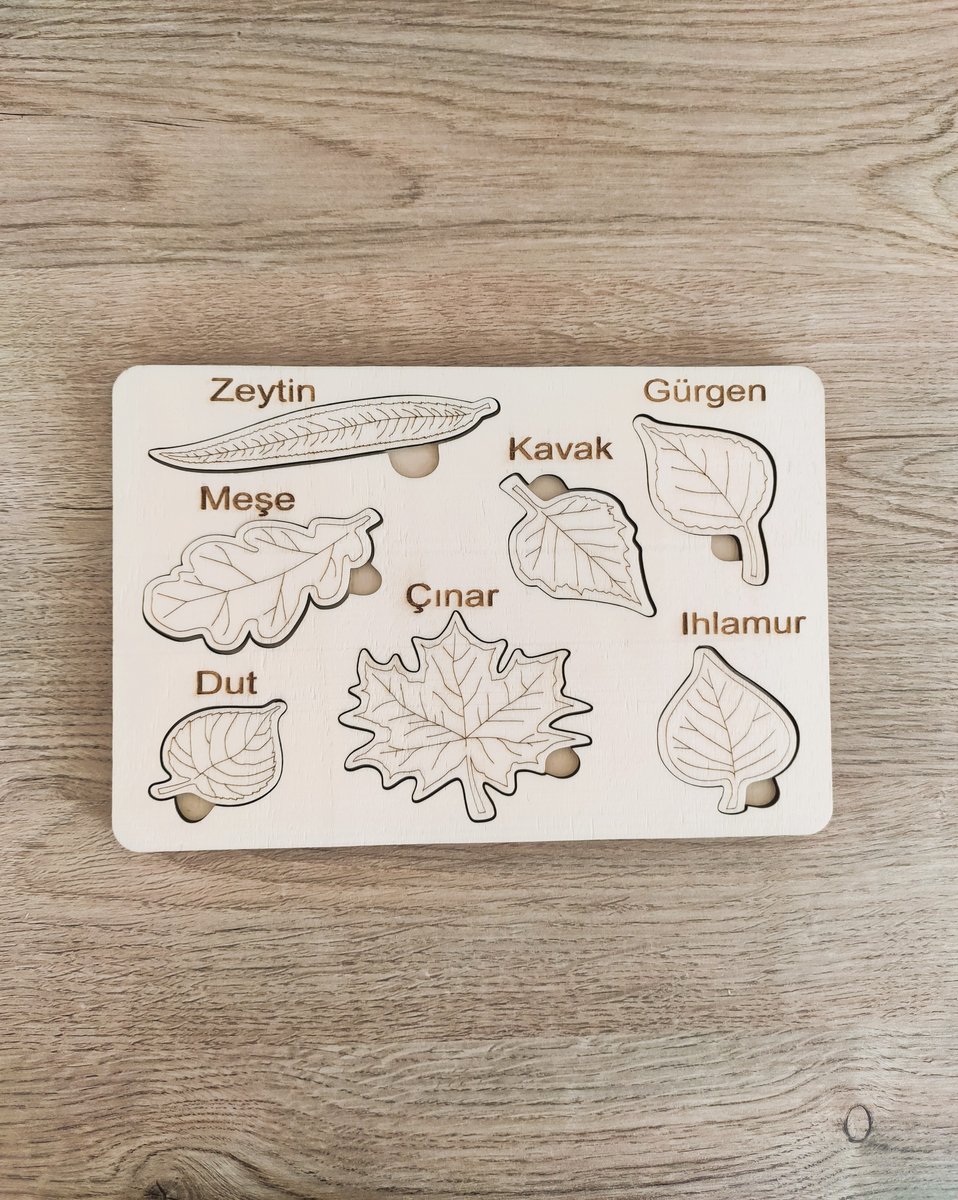 Yaprak Eşleştirme Ahşap Eğitici Oyuncak (3'lü set)