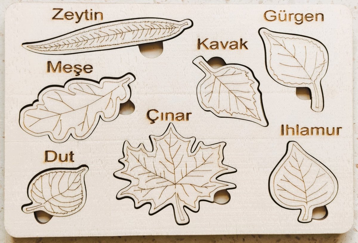 Yaprak Eşleştirme Ahşap Eğitici Oyuncak (3'lü set)
